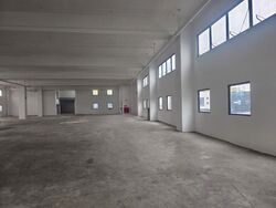 Woodlands Spectrum (D25), Factory #506520681